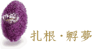 �a�p�e�Ǥ��B��o���ҵ{�W��
