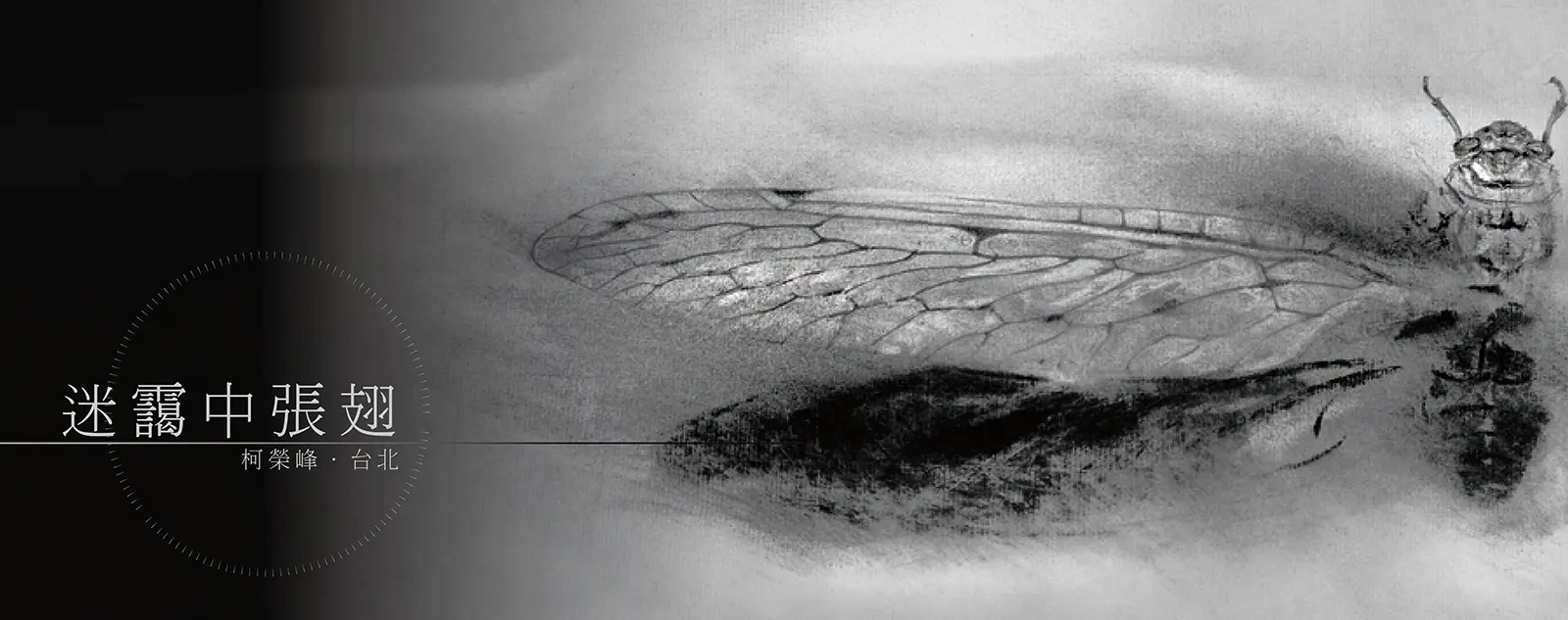 迷靄中張翅－展開翅膀的禪，炭筆素描作品