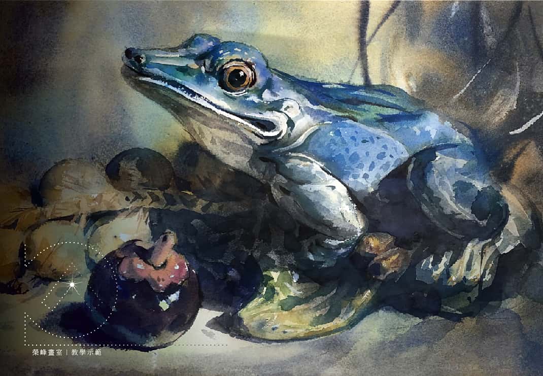 青蛙造型瓷器靜物組-透明水彩畫